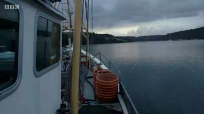 It's a month since
the Fair Morn's first catch. - Cornwall: This Fishing Life