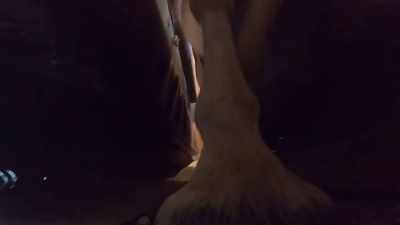It's a nice, tight room,
and that keeps him calm. - Secrets of the Zoo