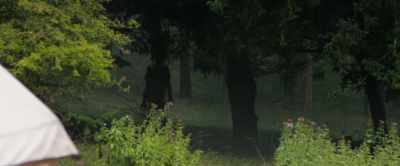 It's a person stood there. See
the three trees? The middle tree, look. - In the Earth