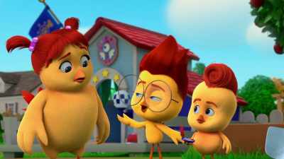 It's a place to get
your fur and feathers cut - The Chicken Squad