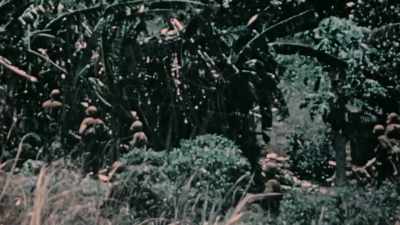 IT'S A POTENTIAL
BASE FOR THE B-29 - The Pacific War in Color