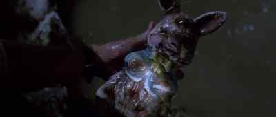 It's a priceless statue. - Romancing the Stone