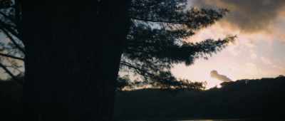 It's a quiet, placid kind of
upbringing. - The Mothman Legacy