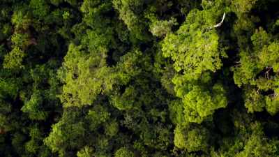 It's a reminder of
the immense challenge - Lost Treasures of the Maya