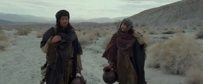 It's a riddle What part of a bird doesn't fly - Last Days in the Desert