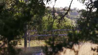 IT'S A SECLUDED LIFESTYLE, - Bloodlands