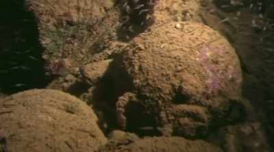 It's a significant advance
on using divers, - Mysteries of the Deep