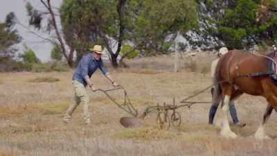 ..it's a simple, effective,
age-old traditional plough design, - Aussie Inventions That Changed The World