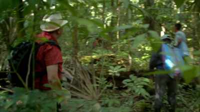 It's a startling
new discovery. - Lost Treasures of the Maya