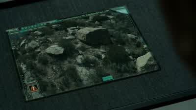 It's a stray. - Westworld