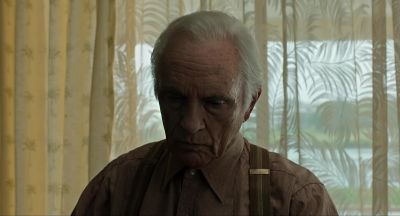 It's a stray. - Miss Peregrine's Home for Peculiar Children