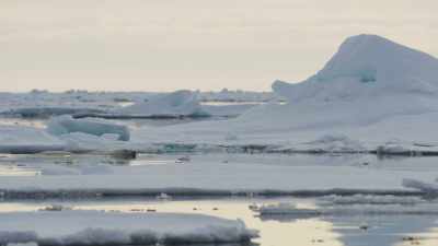 It's a technique known
as aquatic stalking. - Frozen Planet II