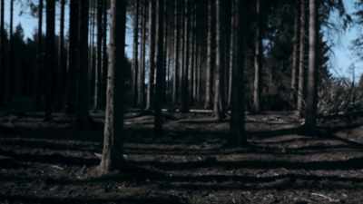 It's a terrible feeling. - World War II: Secrets from Above