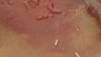It's a tragedy that these
poor fellas were shot, - Betrayal at Attica