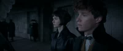 It's a trap. - Fantastic Beasts: The Crimes of Grindelwald