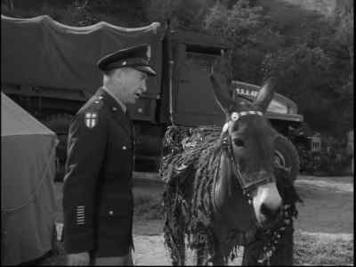 It's a trick.
It's gotta be a trick. - Francis Joins the WACS