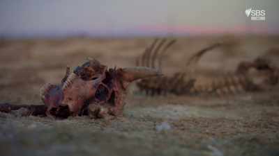 It's a vast, flat, remote land. - Raiders of the Lost Past with Janina Ramirez