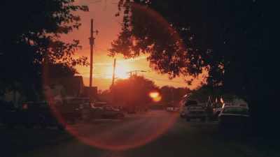  - It's a very nice
 neighborhood. - Phrogging: Hider in My House