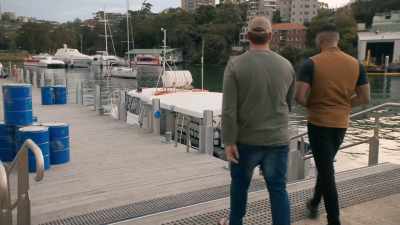 It's a weird-looking fish.
What is that? - NCIS: Sydney