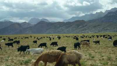 It's about threatening
people's livelihoods - Edge of the Earth