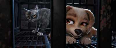 It's about, uh, your birthday. - Gracie & Pedro: Pets to the Rescue