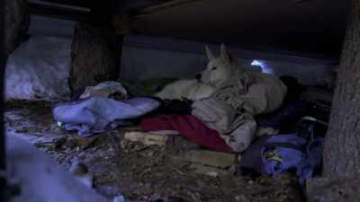 It's about zero degrees today.
He's feeling pretty lethargic. - Life Below Zero: Next Generation