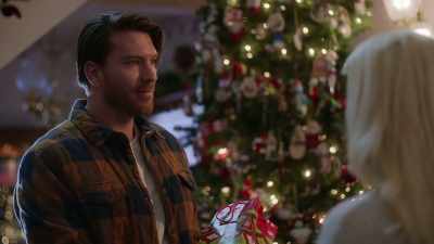 It's actually
a grooming gift card - The Holiday Proposal Plan