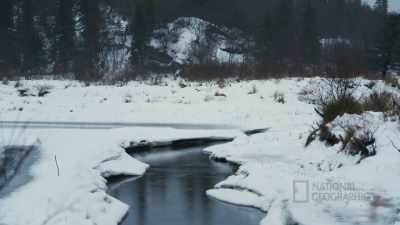 It's actually been raining
the last couple days, - Life Below Zero: First Alaskans