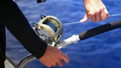 It's actually better
to keep the fish down deep - Deadliest Catch: Bloodline