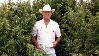 It's all about
moving the product - America's War on Drugs