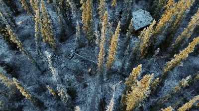 It's all about
trial and error, - Life Below Zero: Next Generation