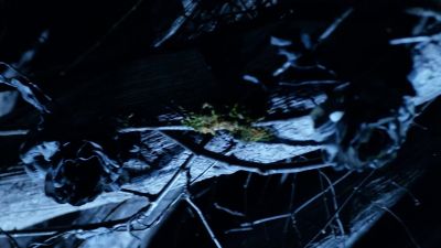        It's all so close. - Sleepy Hollow