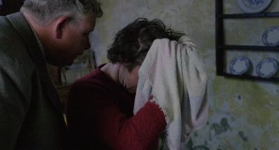 It's all your fault - Withnail &amp; I