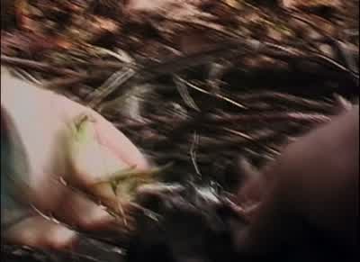 It's all full of blood. - The Blair Witch Project