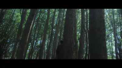 It's all here. - Heart of the Hunter