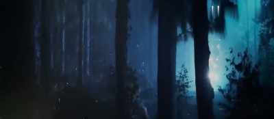 It's all inside you.
This entire forest is yours. - Bhediya