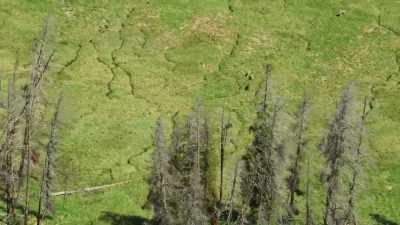 It's all part of the natural - Yellowstone: One-Fifty