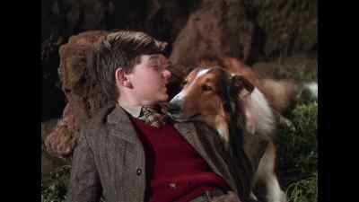It's all right, Lassie. - Lassie Come Home