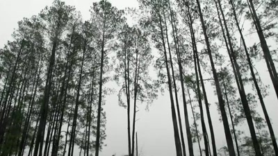 It's almost like
we're really, I think, - Beyond Skinwalker Ranch
