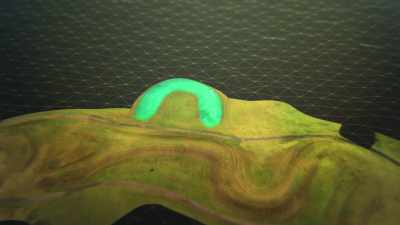 It's almost the exact
same size and shape - Secrets of the Underground