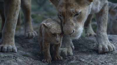It's almost too much
to endure. - The Lion King