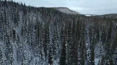 It's already cold,
and it's gonna get colder. - Alone: Frozen