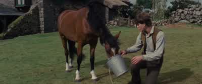 It’s alright. - War Horse
