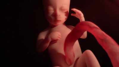 It's also why you get
the chills, - Human: The World Within