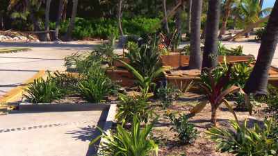 It's amazing how
a bit of planting - Island of Bryan