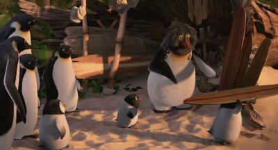 It's amazing Z - Surf's Up