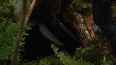 - It's an automobile. - The 100
