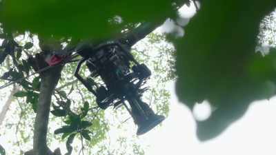 It's an impressive
feat of engineering. - The Secret Lives of Animals