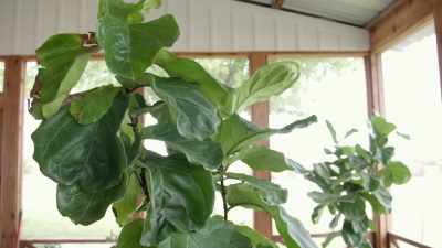 It's an indoor/outdoor space.
That's the challenge. - Fixer Upper: Behind the Design