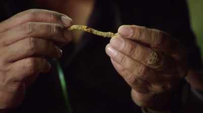 It's an old rusty nail. - Lost Gold of World War II